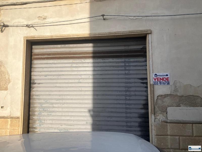 Immagine WhatsApp 2025-04-14 ore 11.17.06_6d76c274.jpg